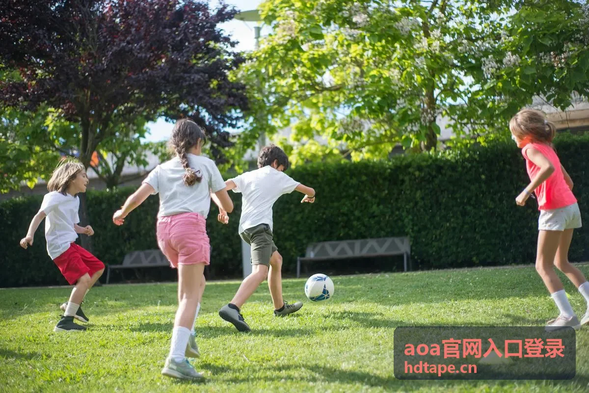 aoa企业服务集成与业务管理入口