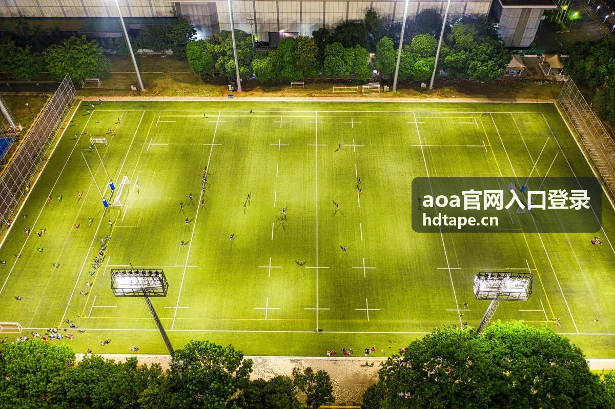 aoa官网入口登录多屏适配界面