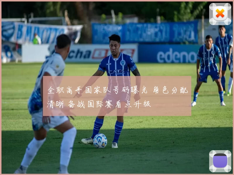 全职高手国家队号码曝光 角色分配清晰 备战国际赛看点升级