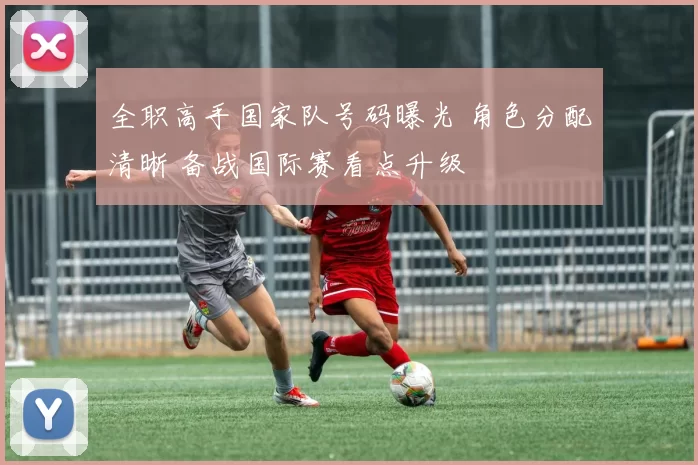 全职高手国家队号码曝光 角色分配清晰 备战国际赛看点升级