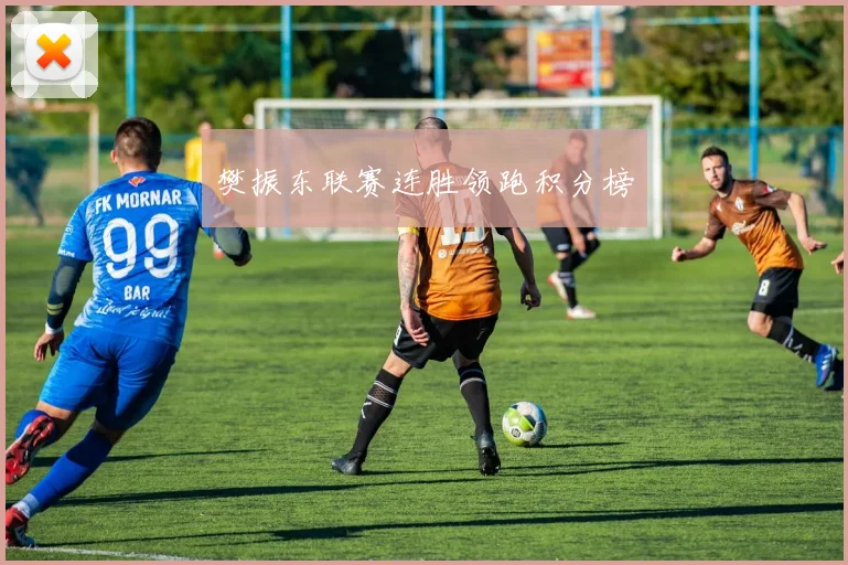 樊振东联赛连胜领跑积分榜