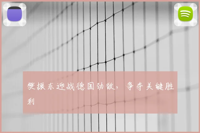 樊振东迎战德国劲敌,争夺关键胜利