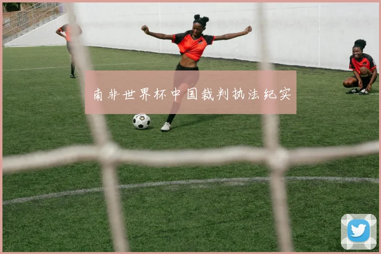南非世界杯中国裁判执法纪实